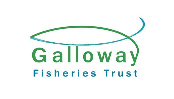 GFT Logo